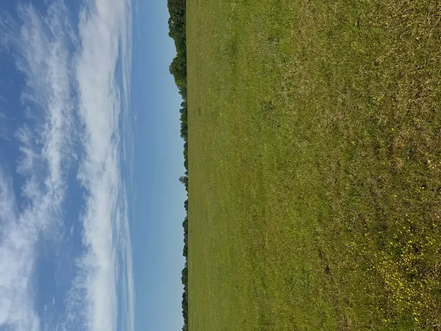 0 Valley Road, Lumpkin, GA 31815 - Image #2