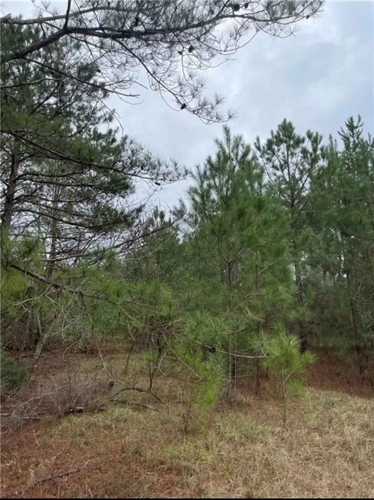 3921 S Highway 0431, Phenix City, AL 36869 - Image #2