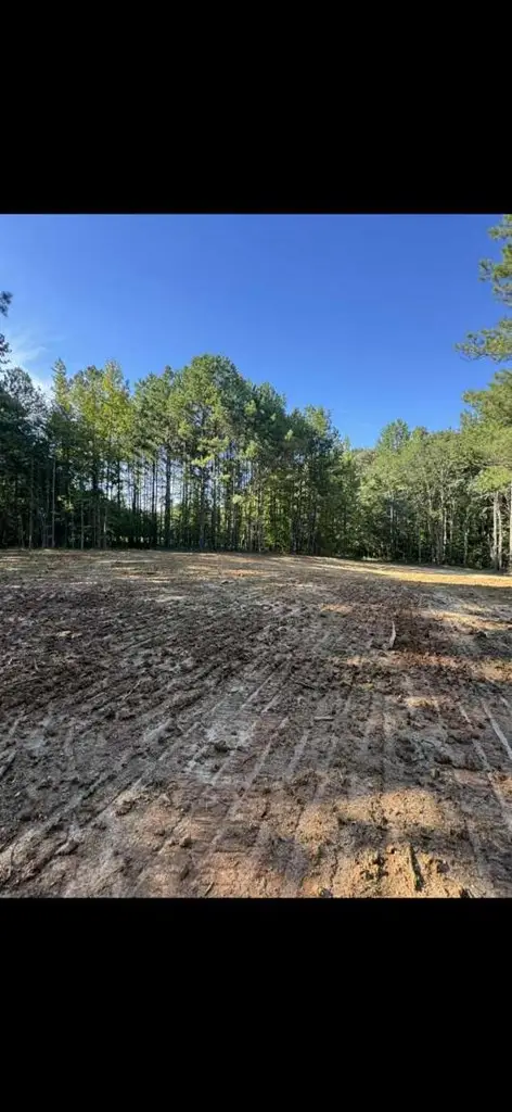 00 Bethel Church Road, Luthersville, GA 30251 - Image #2