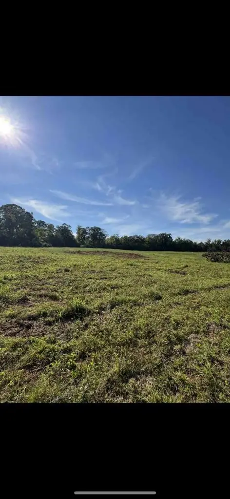 00 Bethel Church Road, Luthersville, GA 30251 - Image #3