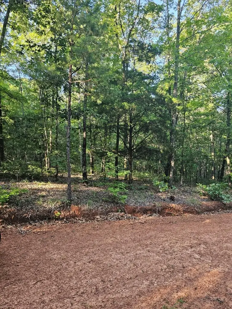 BLK 33 LOT 06 Juniper Way, Waverly Hall, GA 31831 - Image #3