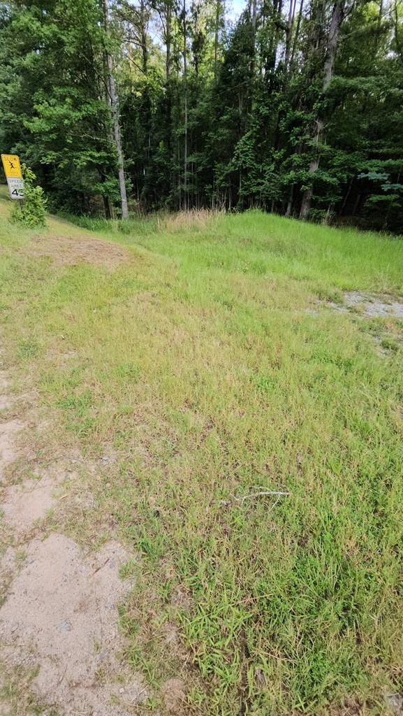 0 Barnes Mill Road, HAMILTON, GA 31811