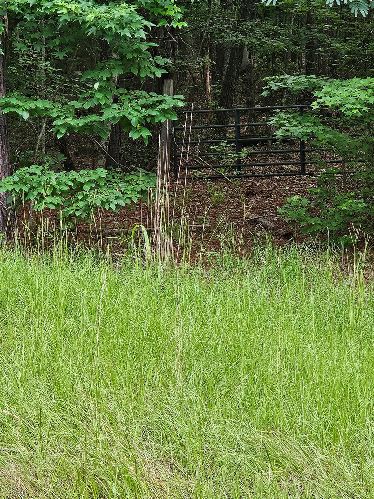 0 Barnes Mill Road, Hamilton, GA 31811 - Image #2