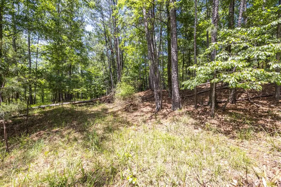 Lot 16 Lake Bright Drive, Columbus, GA 31904 - Image #3
