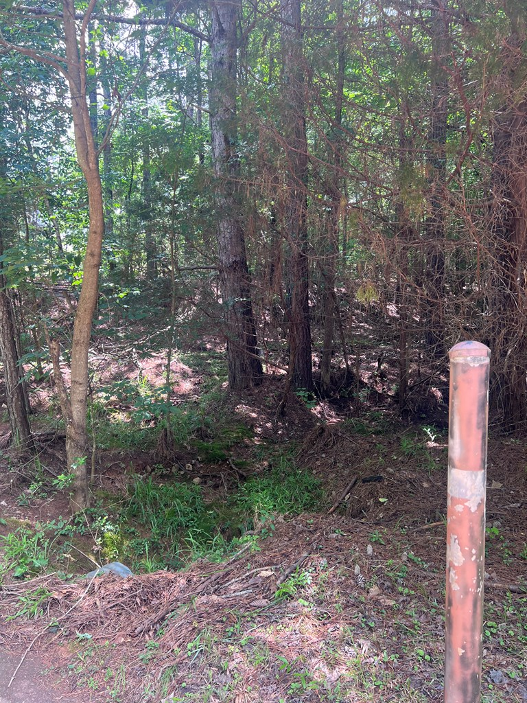 0 Boyd Court, Upatoi, GA 31829 - Image #2