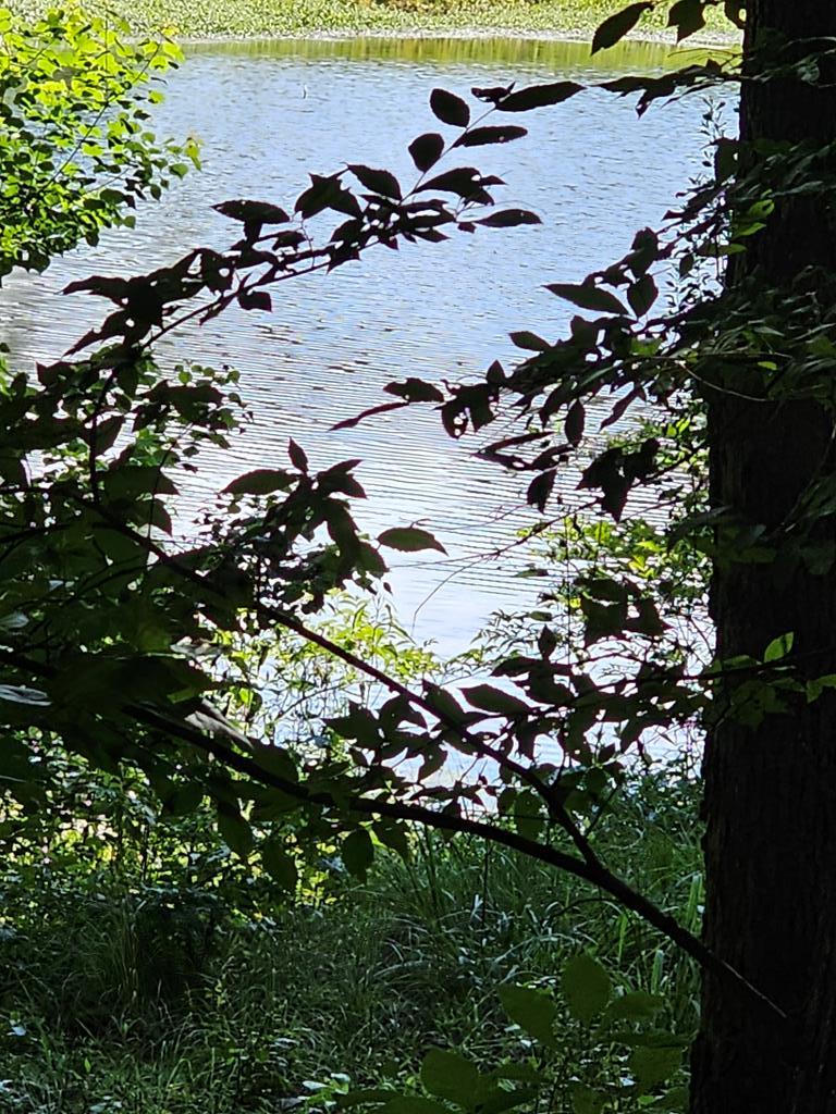 LOT21F Lakeshore Drive, Waverly Hall, GA 31831 - Image #1