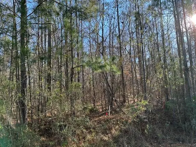 Lot 9 Oak Ridge Drive, Waverly Hall, GA 31831 - Image #1