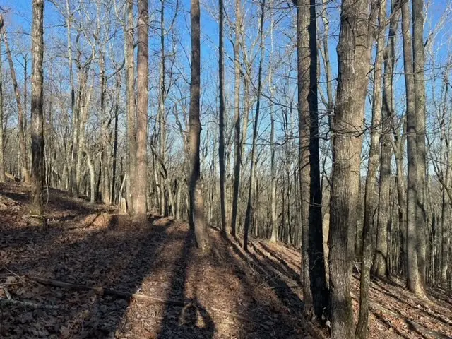 00Lot3 Mountain Ridge Drive, Waverly Hall, GA 31831 - Image #2