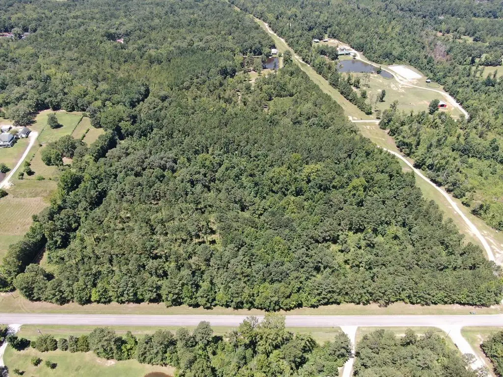 0 Mount Airy Road, Waverly Hall, GA 31831 - Image #1