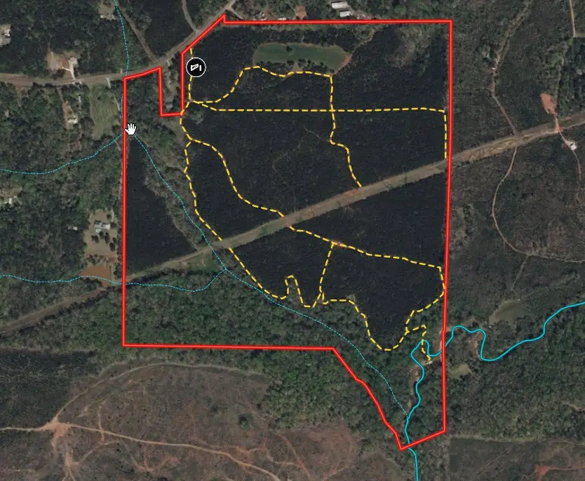 180.14 Johnson Mill Road, Hamilton, GA 31811 - Image #2