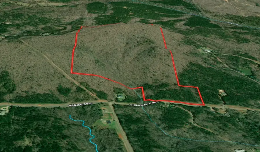 127.96 ac Johnson Mill Road, Hamilton, GA 31811 - #2