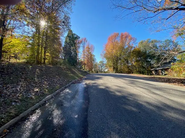 BLK C LOT 13 S 12th Place, Phenix City, AL 36869 - Image #2