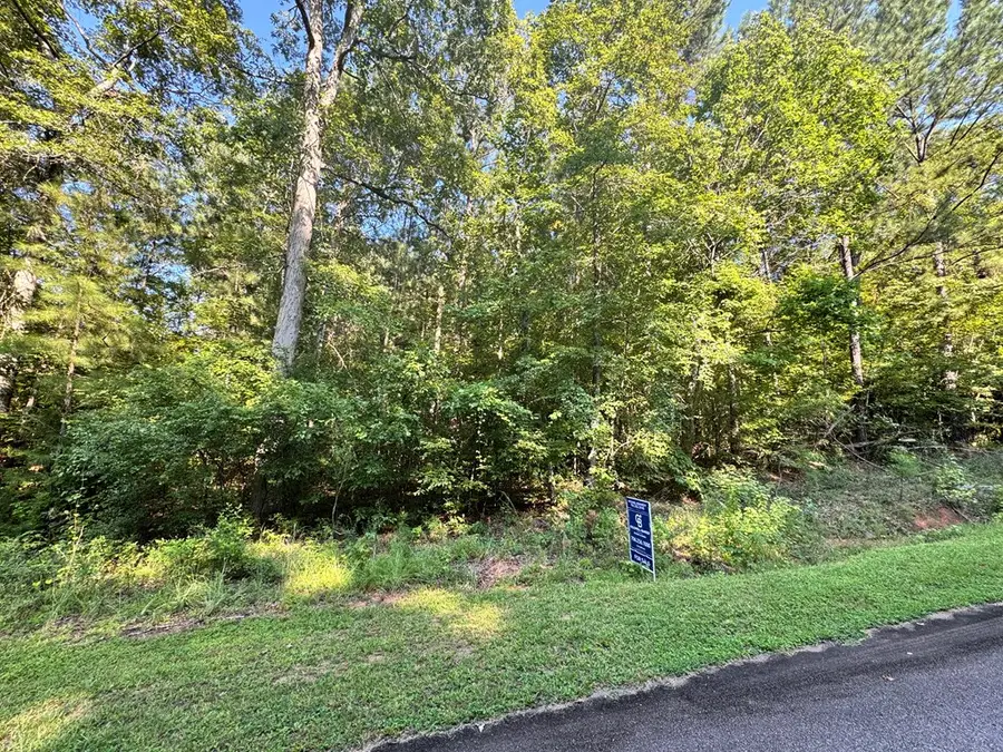 Lot 28 Savior Lane, Hamilton, GA 31811 - Image #3