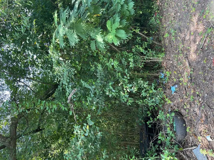 2712 Alford Street, Columbus, GA 31903 - Image #2