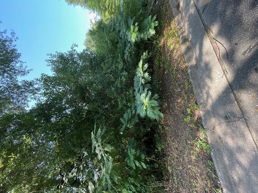 2712 Alford Street, Columbus, GA 31903 - Image #3