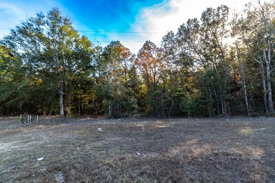 0 Highway 0026, Cusseta, GA 31805 - Image #3