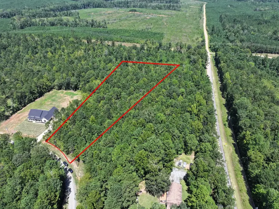 Lot 63 Spring Trail Road, Box Springs, GA 31801 - Image #3