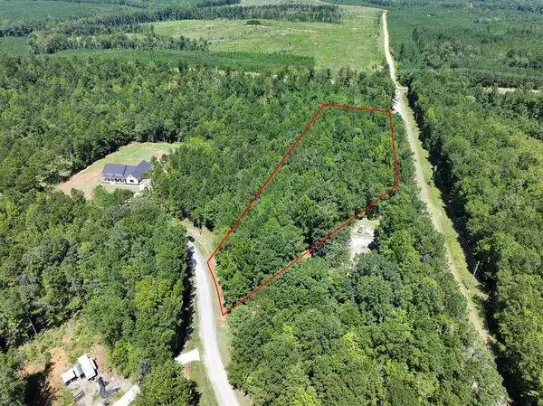 Lot 64 Spring Trail Road, BOX SPRINGS, GA 31801