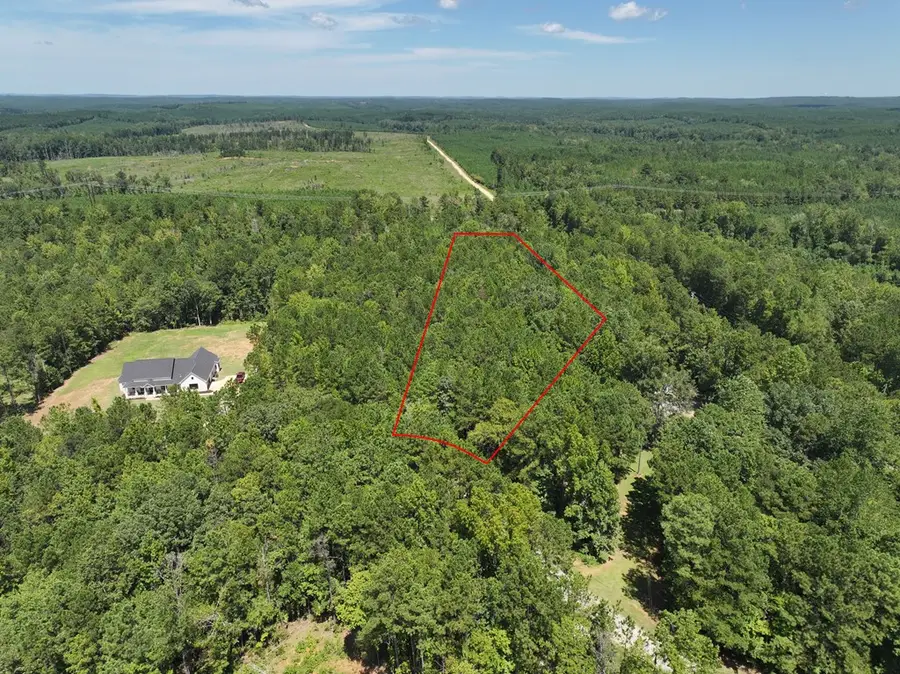 Lot 64 Spring Trail Road, Box Springs, GA 31801 - Image #2