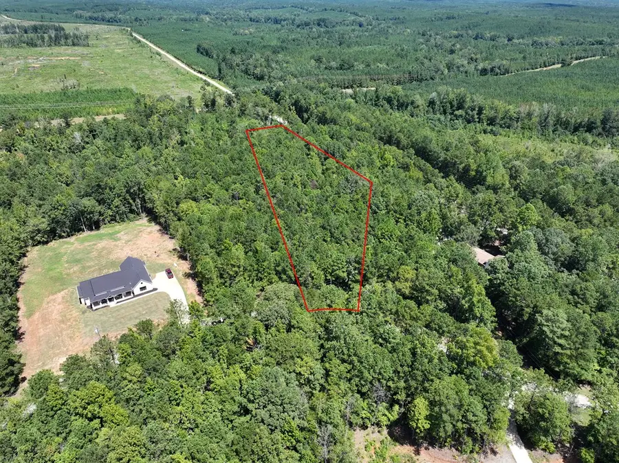 Lot 64 Spring Trail Road, Box Springs, GA 31801 - Image #3