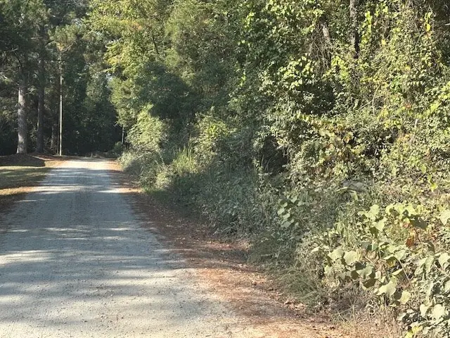 Lots 80-81 Pine Lake Drive, West Point, GA 31833 - Image #2