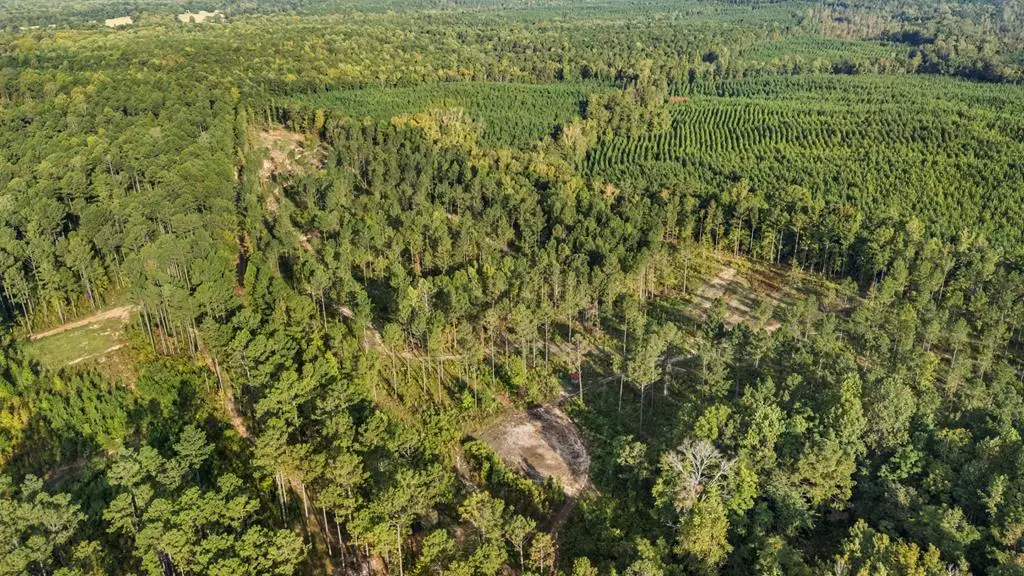 0 County Road 0058, Waverly Hall, GA 31831 - Image #1