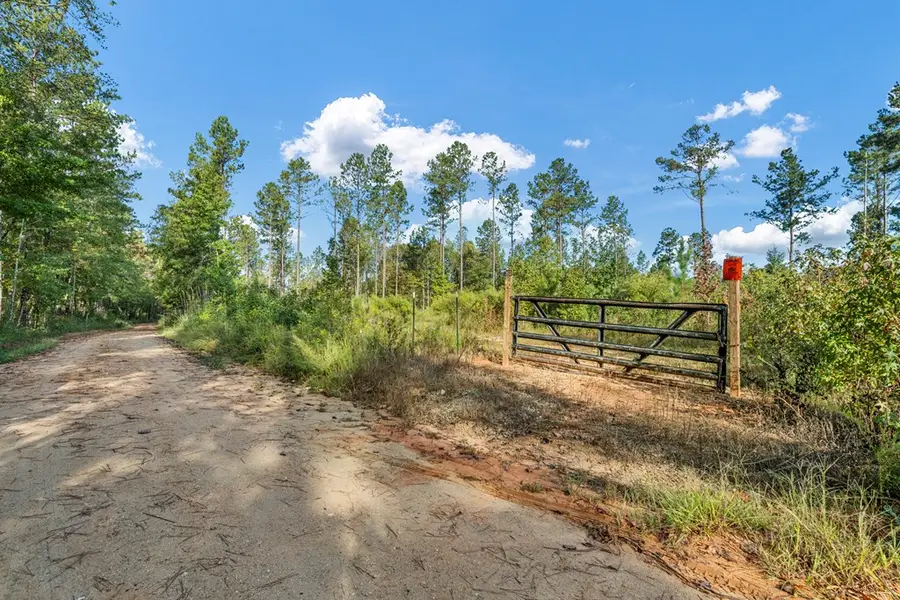 0 County Road 0058, Waverly Hall, GA 31831 - Image #3