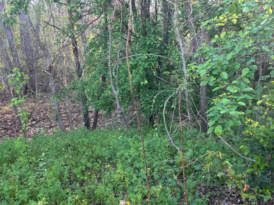 13 Kendall Court, Phenix City, AL 36870 - Image #3