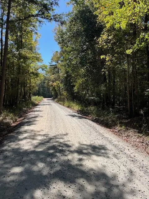 0 Diamond Road, Ellerslie, GA 31831 - Image #1