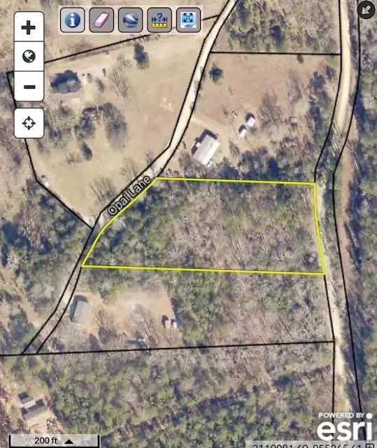 0 Diamond Road, Ellerslie, GA 31831 - Image #3