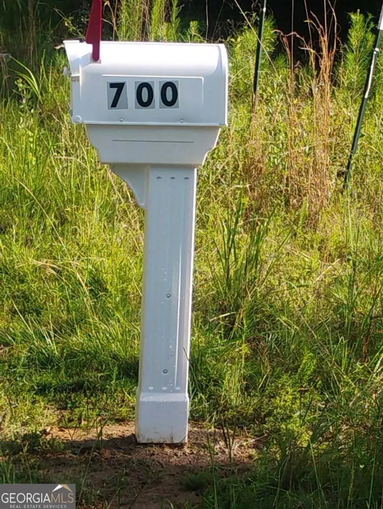 700 Gun Club Road, Box Springs, GA 31801 - Image #2