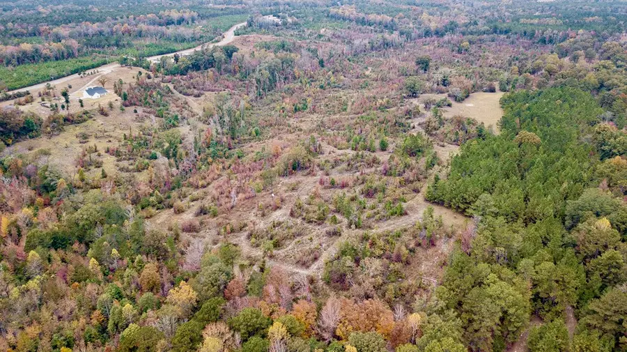 0 Battle Road, Hurtsboro, AL 36860 - #3