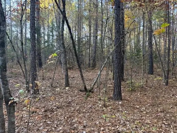 0 Brown Creek Road, SHILOH, GA 31826