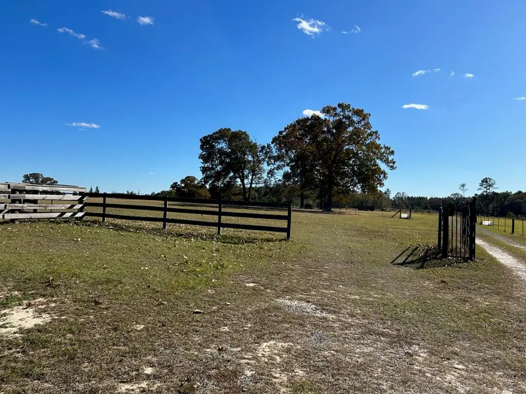 297 Highway 0240 Connector, Buena Vista, GA 31803 - Image #1