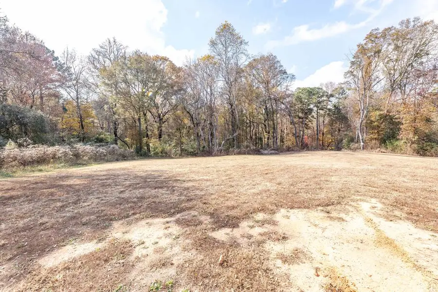 0 Ga Highway 0085, Waverly Hall, GA 31831 - Image #3