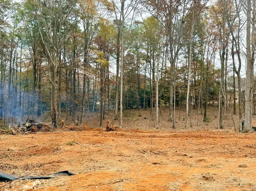 140 Rolling Meadows Way, Waverly Hall, GA 31831 - #3