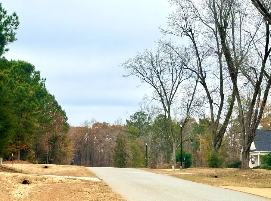 Lot 19 Rolling Meadows Way, Waverly Hall, GA 31831 - Image #3