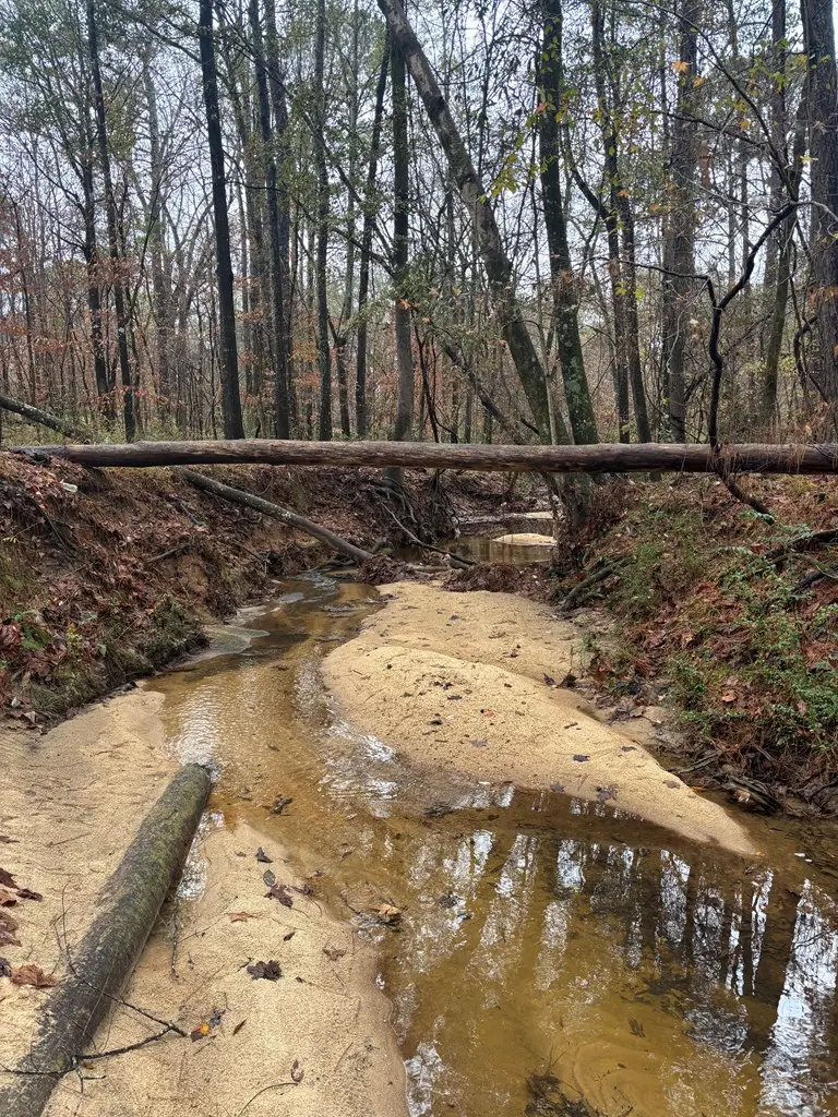 1206 Rock Bridge Drive, Columbus, GA 31904 - Image #2