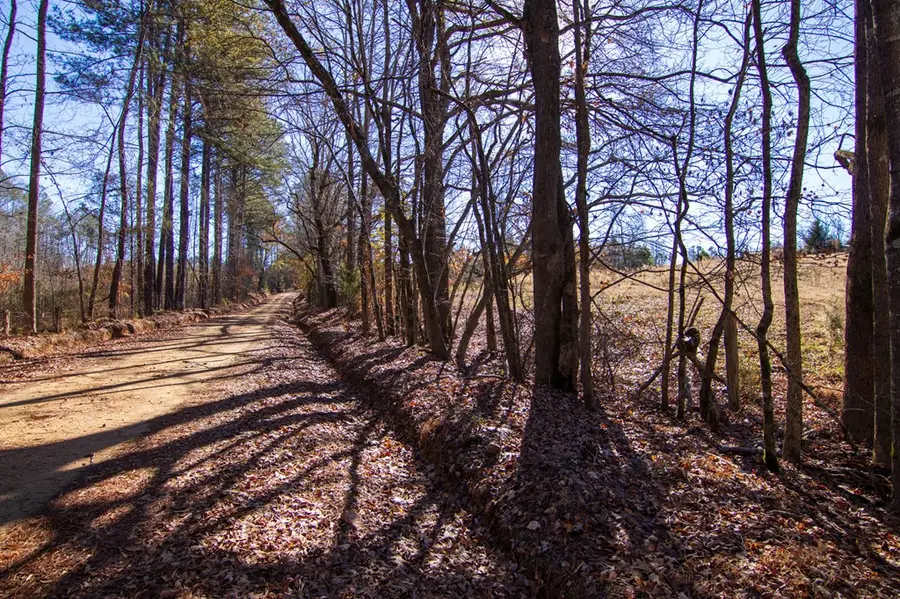 0 St. Paul Church Road, Shiloh, GA 31826 - Image #2