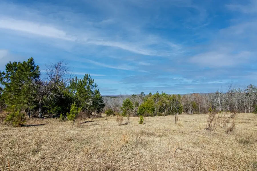 0 St. Paul Church Road, Shiloh, GA 31826 - Image #3