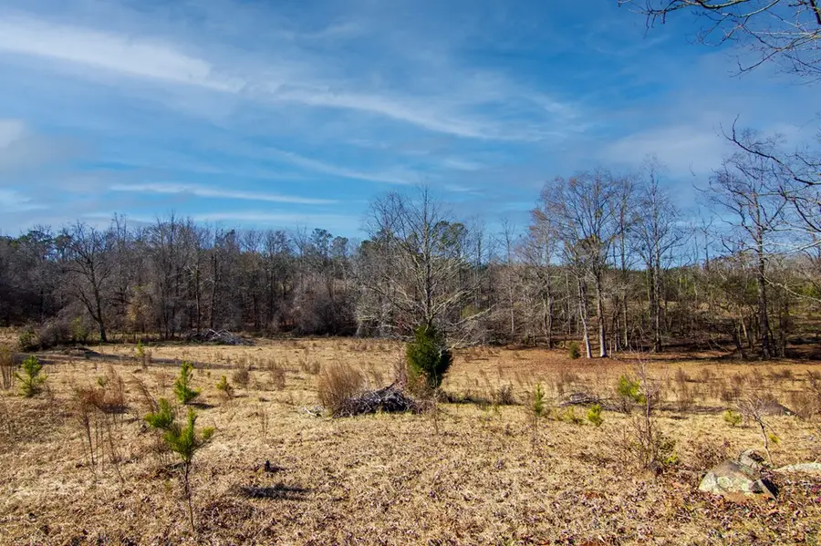 Tract 4 - 0 Chestnut Grove Road, Shiloh, GA 31826 - #2