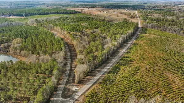 0 Sandfort Road, SEALE, AL 36875