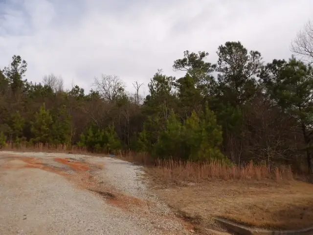 0 E 22nd Avenue, Phenix City, AL 36867 - Image #2