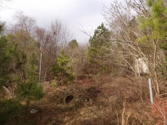 0 E 22nd Avenue, Phenix City, AL 36867 - Image #3