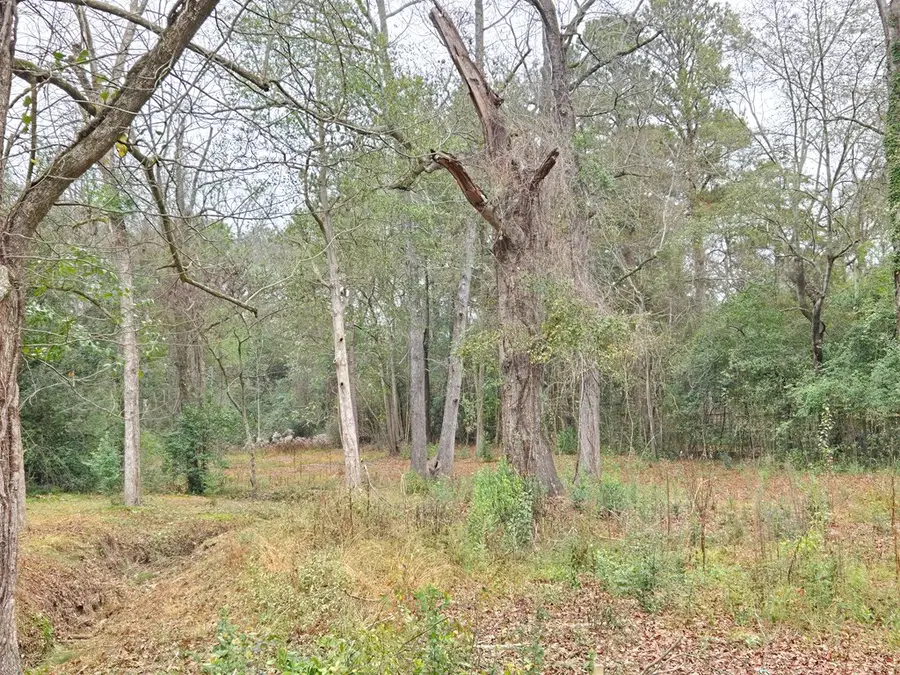 3857 Woodland Drive, Columbus, GA 31907 - Image #2