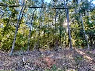 .33 acre West Pine Lake Drive, WEST POINT, GA 31833