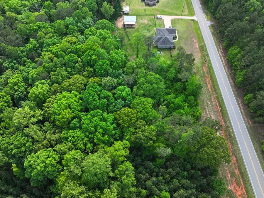 0 Ga Highway 0315, Waverly Hall, GA 31831 - Image #3