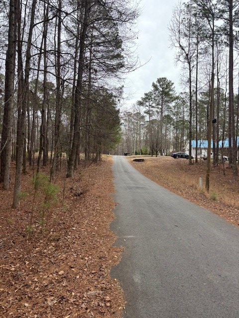 0 Red Bud Court, Waverly Hall, GA 31831 - Image #3