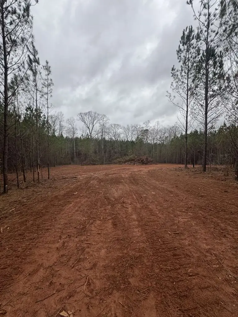 1455 Bethel Church Road, Luthersville, GA 30251 - #3