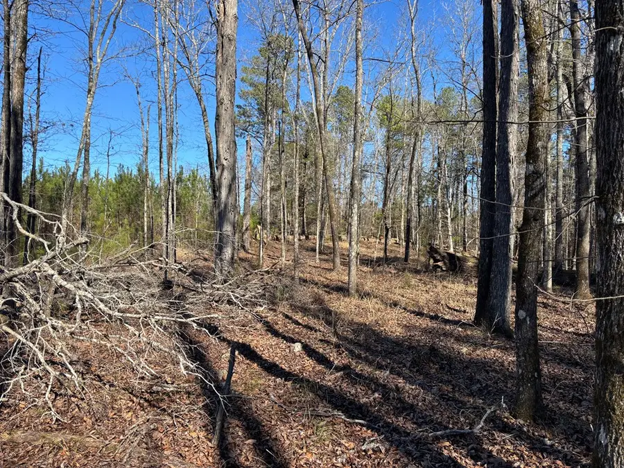 00 Carl Mathis Road, Talbotton, GA 31827 - Image #2